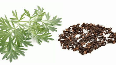 Nelken and wormwood to remove parasites out of the body
