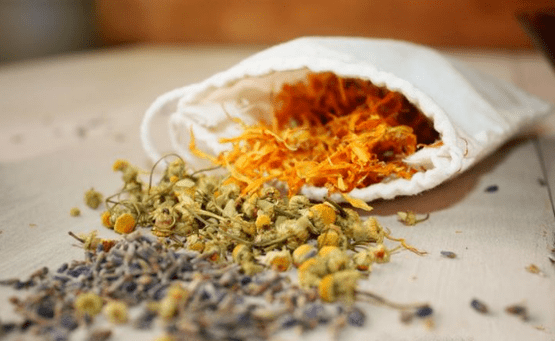 Herbs against worms in adults