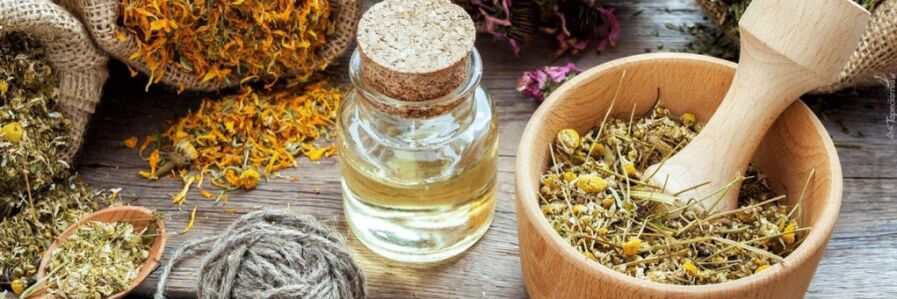 Folk remedies for worms